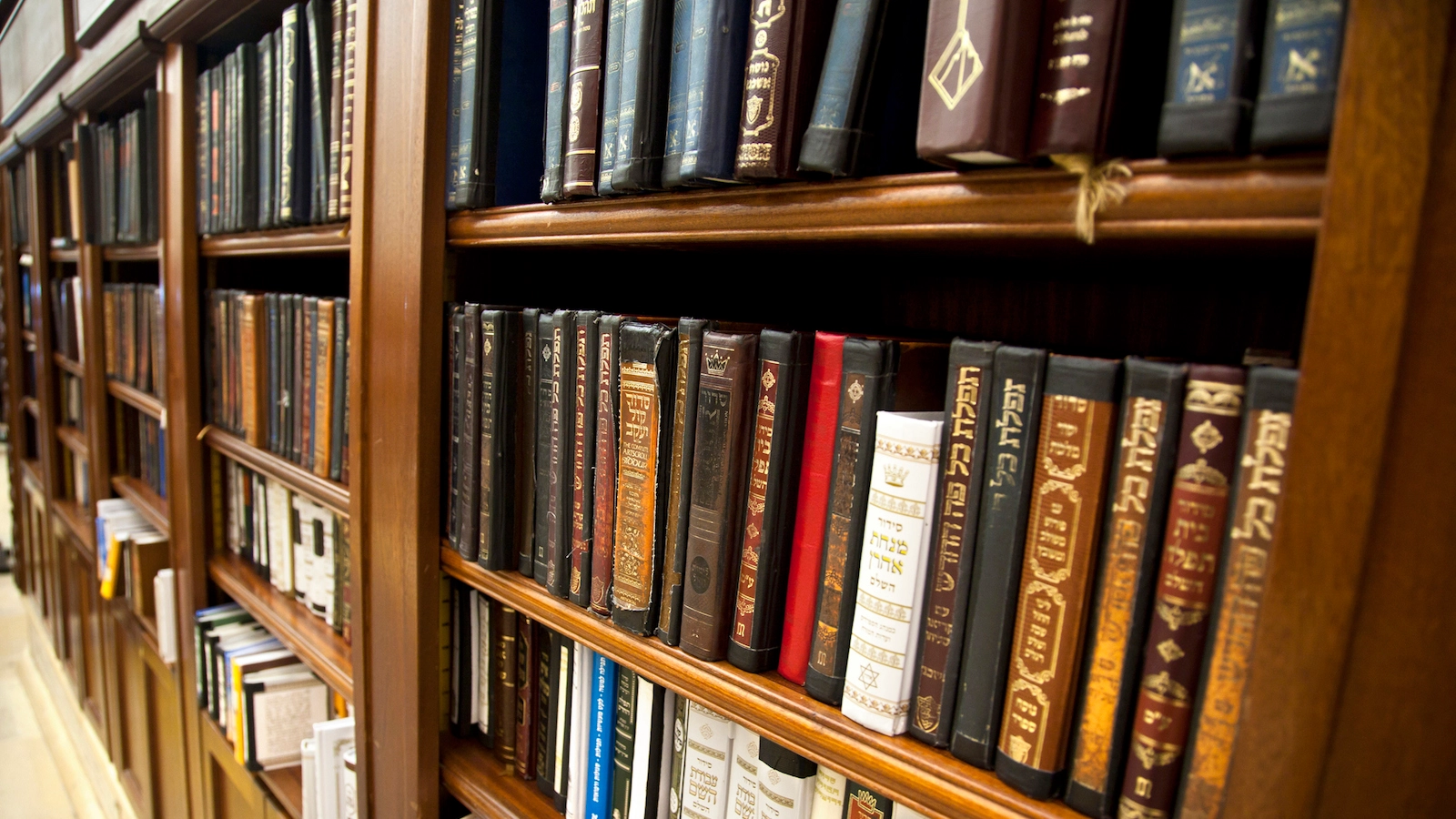 Jewish sacred texts on a library shelf